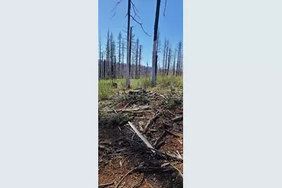 5406 Wooded Glen Dr, Grizzly Flats, CA 95636 - Photo 4