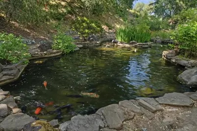 12359 Farr Ranch Rd, Saratoga, CA 95070 - Photo 50