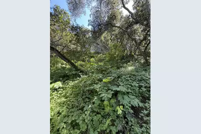 0 Bartlett Way, Belmont, CA 94002 - Photo 4