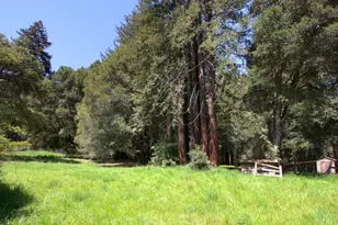 116 Wildrose Terrace, Boulder Creek, CA 95006 - Photo 64