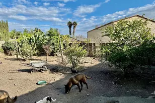 4208 Esmail Ave, Keyes, CA 95328 - Photo 2