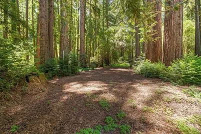 0 Grove St, Los Gatos, CA 95030 - Photo 4