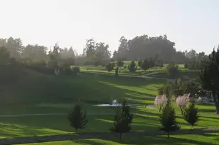 501 Spring Hills Dr, Watsonville, CA 95076 - Photo 56