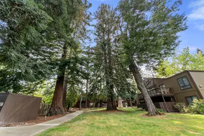 78 Pearce Mitchell Pl, Stanford, CA 94305 - Photo 24