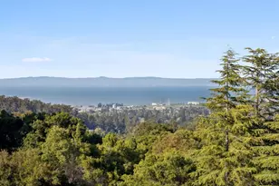 855 Darrell Rd, Hillsborough, CA 94010 - Photo 44