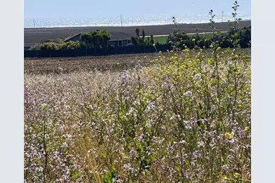 00 Bluff Rd, Moss Landing, CA 95039 - Photo 10