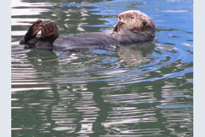 00 Bluff Rd, Moss Landing, CA 95039 - Photo 6