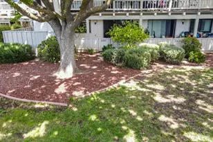 5408 Cribari Ct, San Jose, CA 95135 - Photo 1