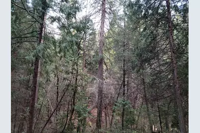 3179 Independence Rd, Mokelumne Hill, CA 95245 - Photo 2