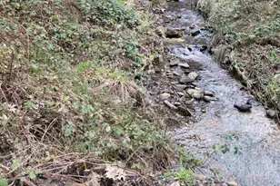 3179 Independence Rd, Mokelumne Hill, CA 95245 - Photo 1