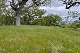 13 Longridge Trail, Carmel Valley, CA 93923 - Photo 10