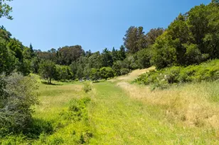 3554 Paul Sweet Rd, Santa Cruz, CA 95065 - Photo 18