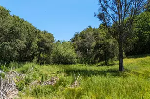 3554 Paul Sweet Rd, Santa Cruz, CA 95065 - Photo 14