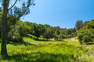 3554 Paul Sweet Rd, Santa Cruz, CA 95065 - Photo 16