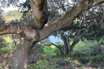 5496 Quail Meadows Dr, Carmel, CA 93923 - Photo 14