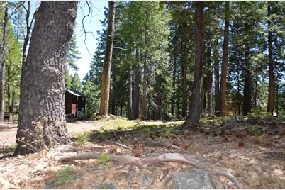 3112 Apache Rd, Dorrington, CA 95223 - Photo 20