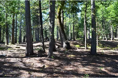 3112 Apache Rd, Dorrington, CA 95223 - Photo 12