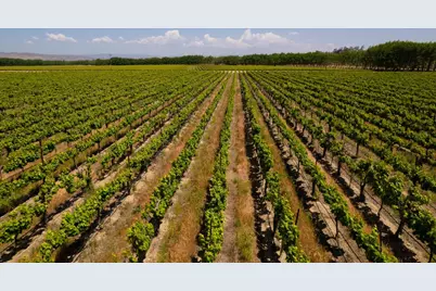 41460 Los Coches Rd, Soledad, CA 93960 - Photo 8