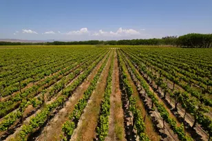 41460 Los Coches Rd, Soledad, CA 93960 - Photo 8