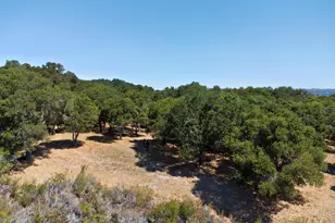 4 Holding Field Run, Carmel, CA 93923 - Photo 1