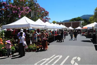 22187 Old Santa Cruz Hwy, Los Gatos, CA 95033 - Photo 54