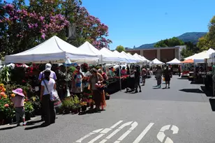 22187 Old Santa Cruz Highway, Los Gatos, CA 95033 - Photo 54