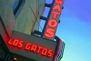 22187 Old Santa Cruz Highway, Los Gatos, CA 95033 - Photo 50