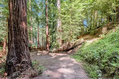 345 McGaffigan Mill Rd, Boulder Creek, CA 95006 - Photo 40