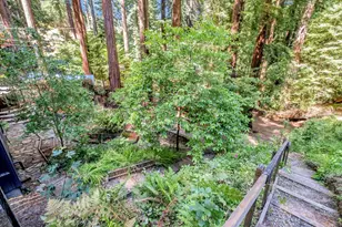 345 McGaffigan Mill Rd, Boulder Creek, CA 95006 - Photo 38