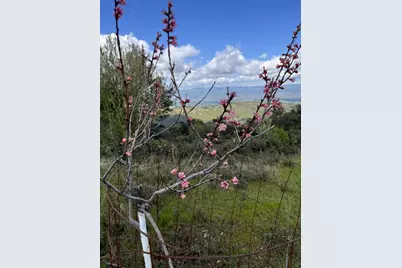 110 Silverline Rd, Los Gatos, CA 95033 - Photo 30