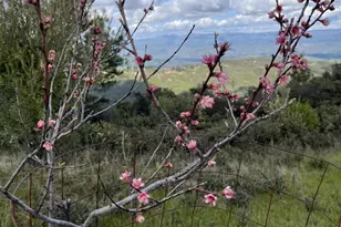 110 Silverline Rd, Los Gatos, CA 95033 - Photo 30