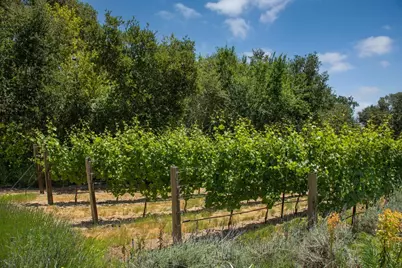 211 Winding Way, Woodside, CA 94062 - Photo 30