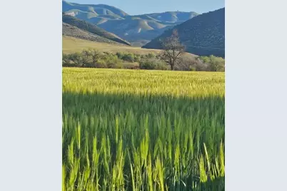 54800 Lonoak Rd, King City, CA 93930 - Photo 88