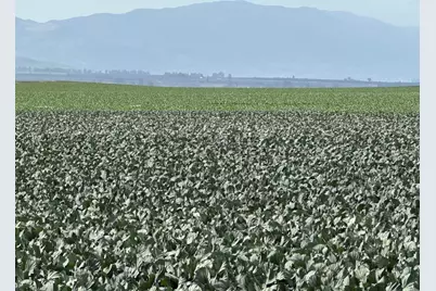 48453 Lonoak Rd, King City, CA 93930 - Photo 10