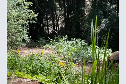 506 Sunset Rd, Boulder Creek, CA 95006 - Photo 12