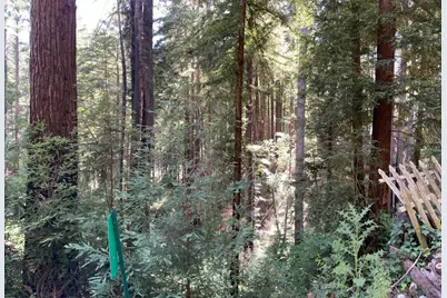 506 Sunset Rd, Boulder Creek, CA 95006 - Photo 16