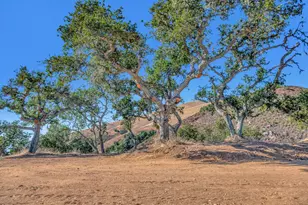 Weathertop Ranch Lot#3 500 El Caminito, Carmel Valley, CA 93924 - Photo 16