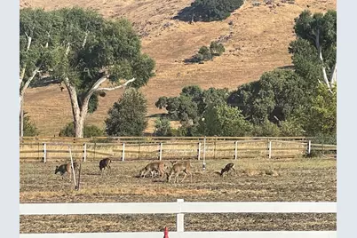 19715 Hale Ave, Morgan Hill, CA 95037 - Photo 22