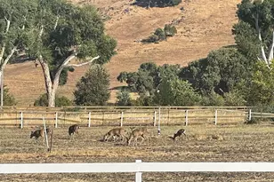 19715 Hale Ave, Morgan Hill, CA 95037 - Photo 22