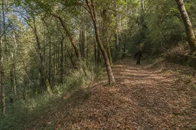 Lot 1 Desear, Felton, CA 95018 - Photo 2