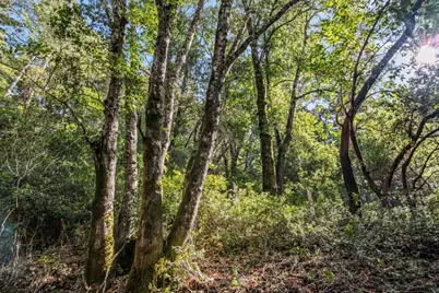 Lot 1 Desear, Felton, CA 95018 - Photo 1