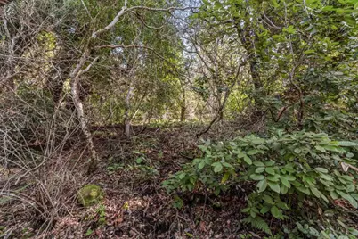 Lot 02 Lakeview Ave, Felton, CA 95018 - Photo 6