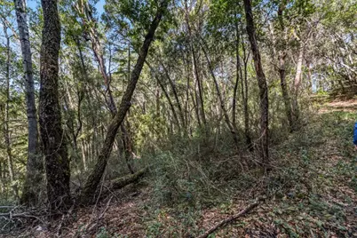 Lot 08 Madrone Ave, Felton, CA 95018 - Photo 6
