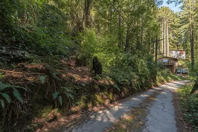 Lot 12 Vera Ave, Felton, CA 95018 - Photo 4