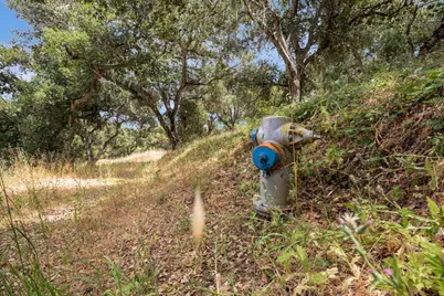 17 Sleepy Hollow Dr, Carmel Valley, CA 93924 - Photo 26