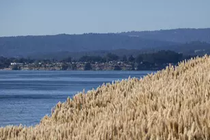 117 Seascape Resort Dr, Aptos, CA 95003 - Photo 8