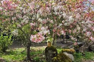 5601 Freedom Blvd, Aptos, CA 95003 - Photo 4