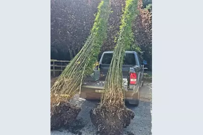 5601 Freedom Blvd, Aptos, CA 95003 - Photo 42