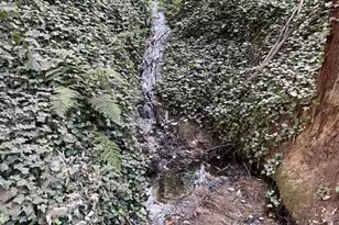 133 Western Ave, Brookdale, CA 95007 - Photo 66