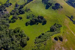 100 Old Stage Rd, San Juan Bautista, CA 95045 - Photo 6